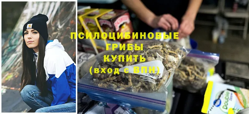 Псилоцибиновые грибы Magic Shrooms  Невинномысск 